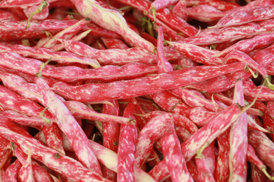 Creative ways with  Borlotti Beans
